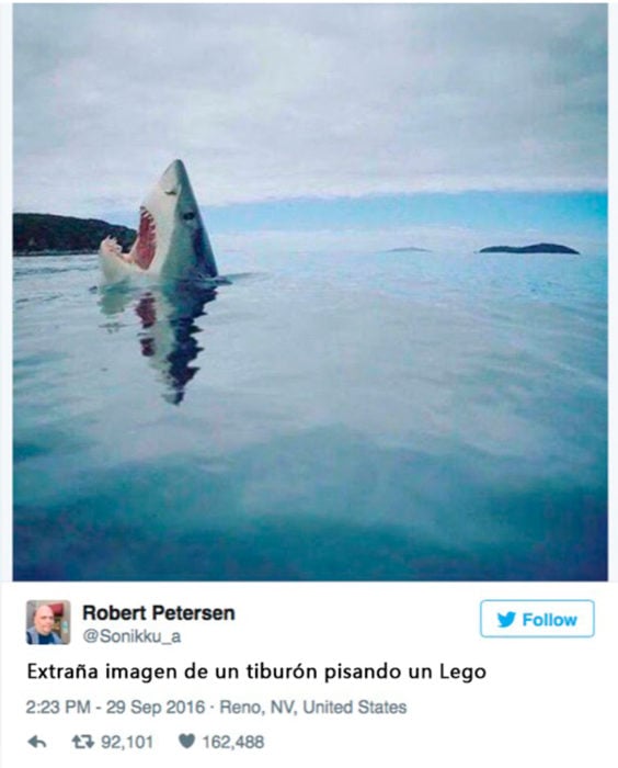 tiburón pisando un lego