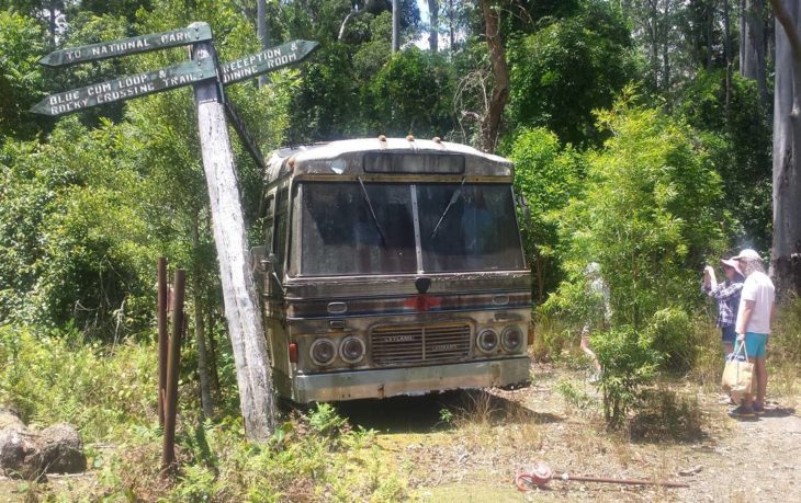 autobús abandonado en el bosque