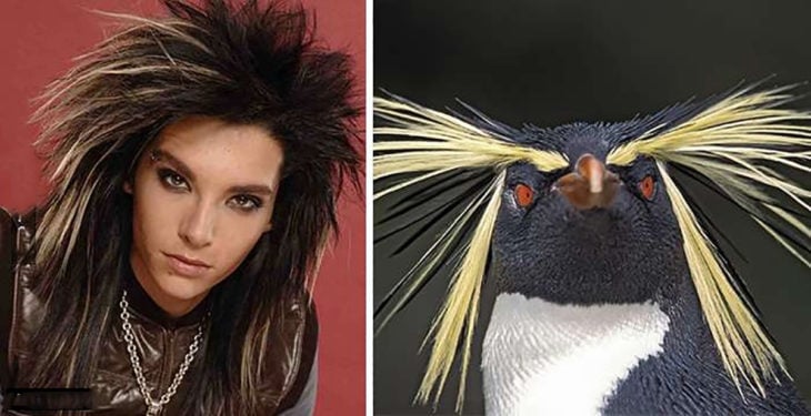 Bill Kaulitz y pingüino penacho