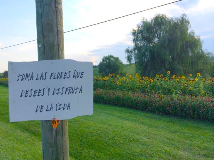 campo de flores con un cartel