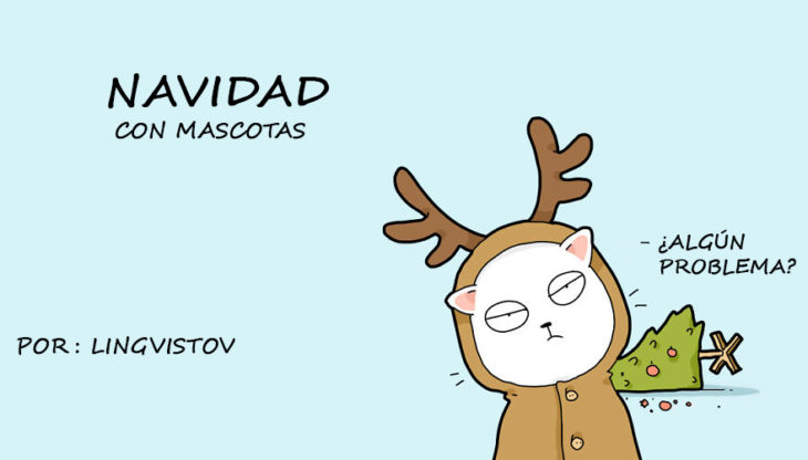 navidad con mascotas