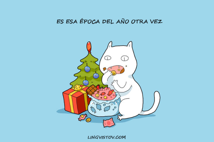 gatos en navidad