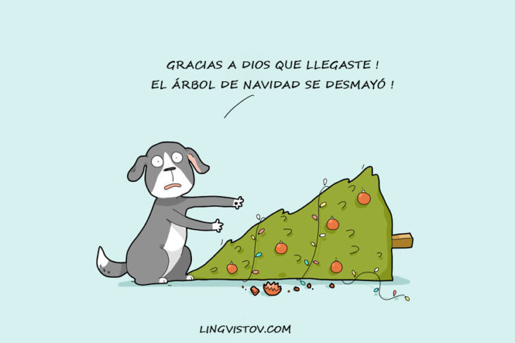 navidad con mascotas