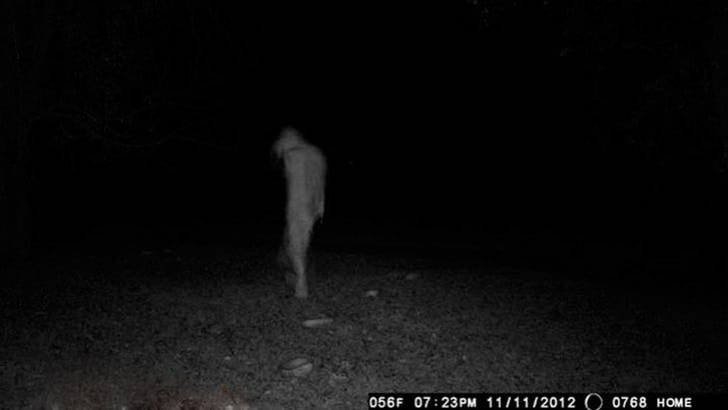 foto de un fantasma en el bosque 