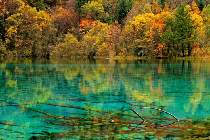 lago de las cinco flores