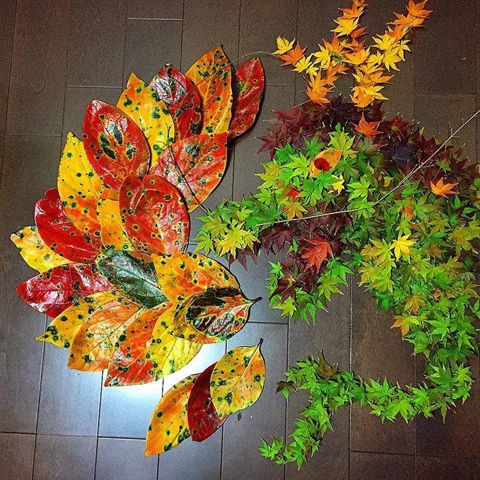 arte con hojas secas 