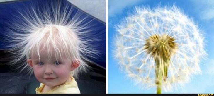 Un niño y una flor diente de león