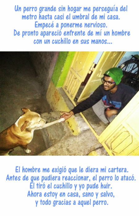 hombre toma la patita de perro de la calle