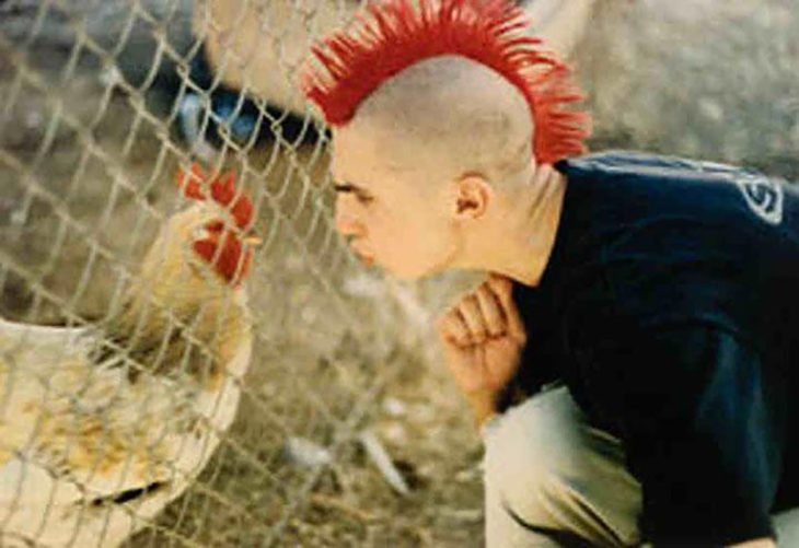 pollo y chico punk