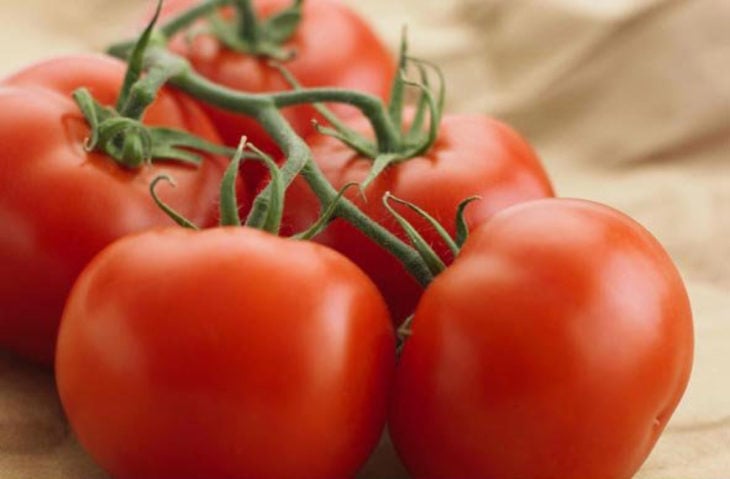 tomates con tallo hacia arriba