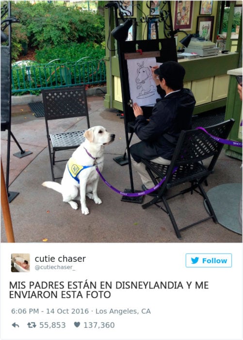 un perro en disneylandia