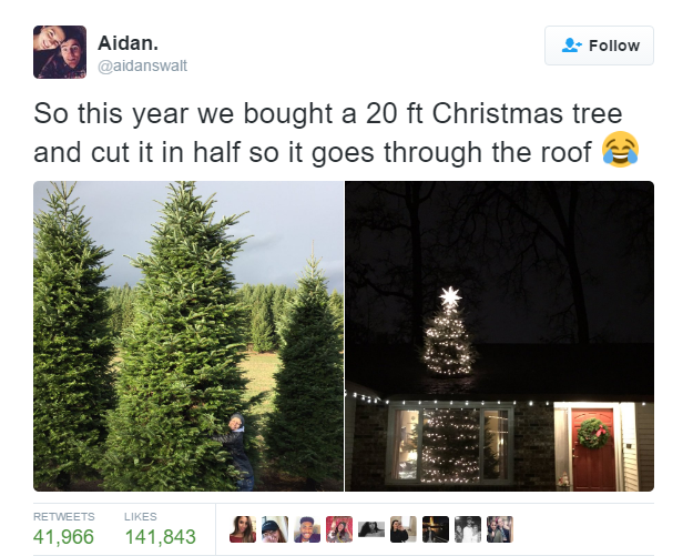the best tree ever