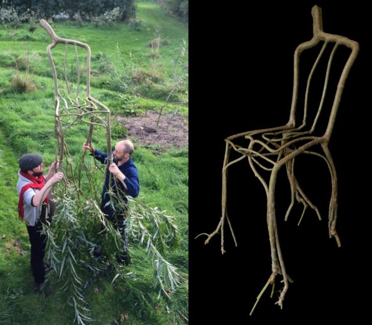 árbol que creció con forma de silla