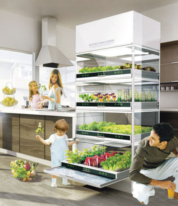 10 cosas casa ideal jardin hidrofonico en la cocina