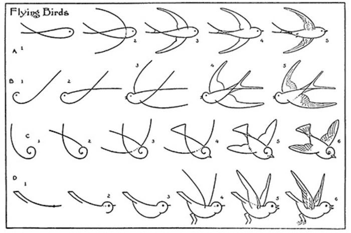 10 plantillas para dibujar pajaros volando
