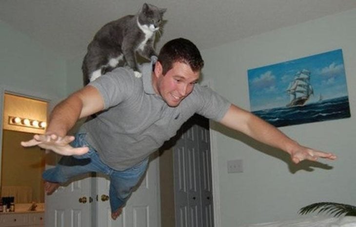 un gato volando sobre un humano