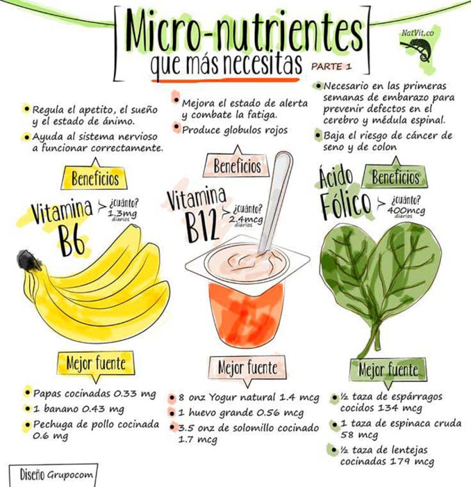 infografía sobre micronutrientes