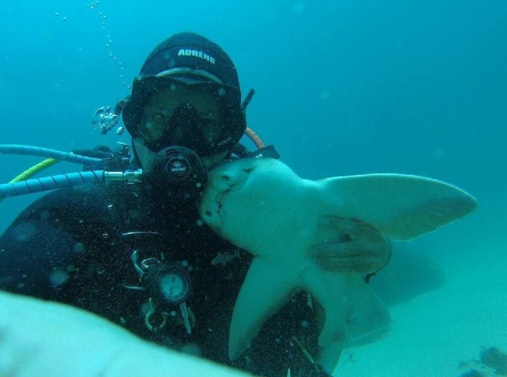 un tiburón y un buzo se hicieron mejores amigos