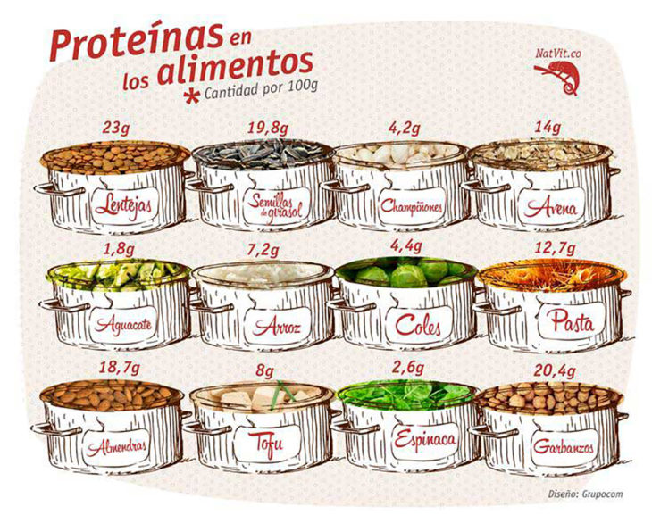 infografía alimentos con proeínas