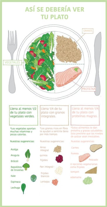 infografía sobre plato saludable