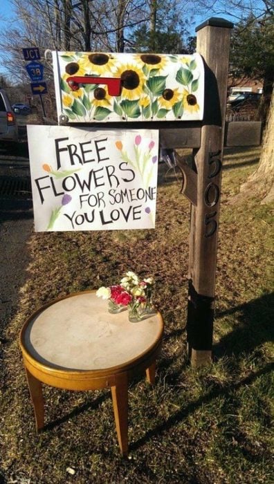 20 fotos para creer en la humanidad flores para todos