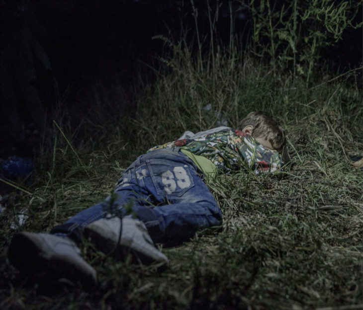 Niño dormido en el bosque 