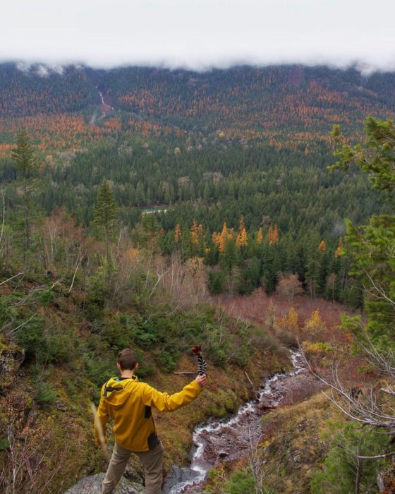 persona en un bosque