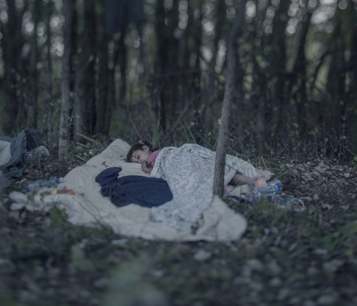 Niña dormida en medio del bosque