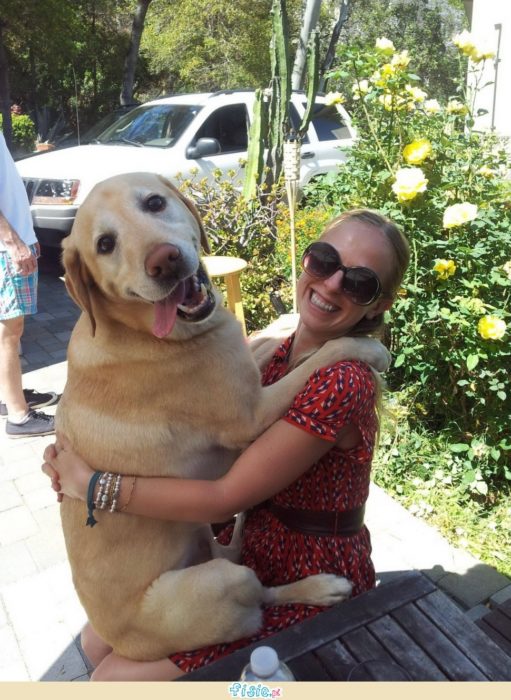 perro y dueña sonriendo para la foto