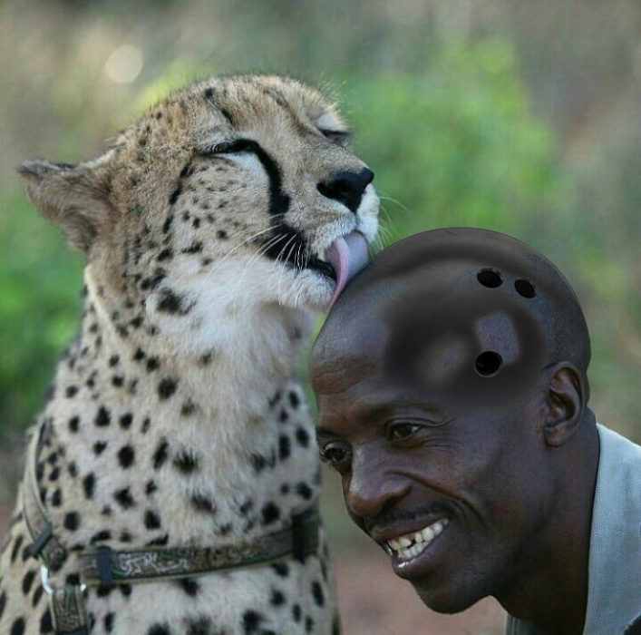 Batalla cheeta 6