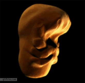 Gif rostro humano feto