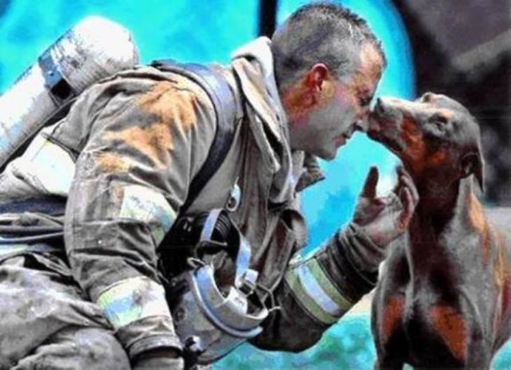 perra besa a bombero