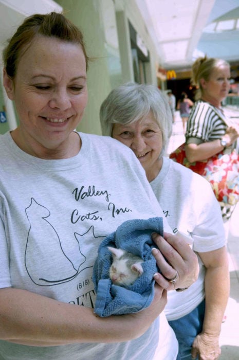 dos personas una sostiene a un gatito en una cobija azul