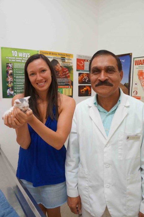 mujer con gatito bebé y veterinario