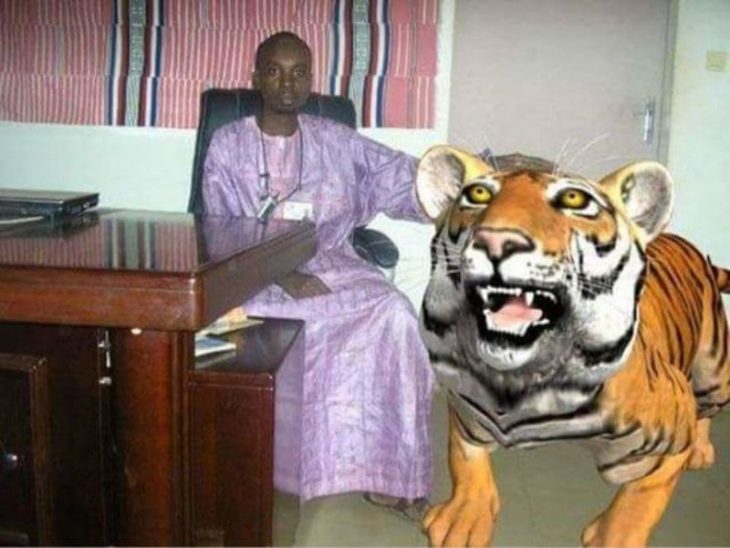 Photoshop - mascota tigre