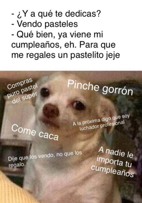 Perrito enojado meme