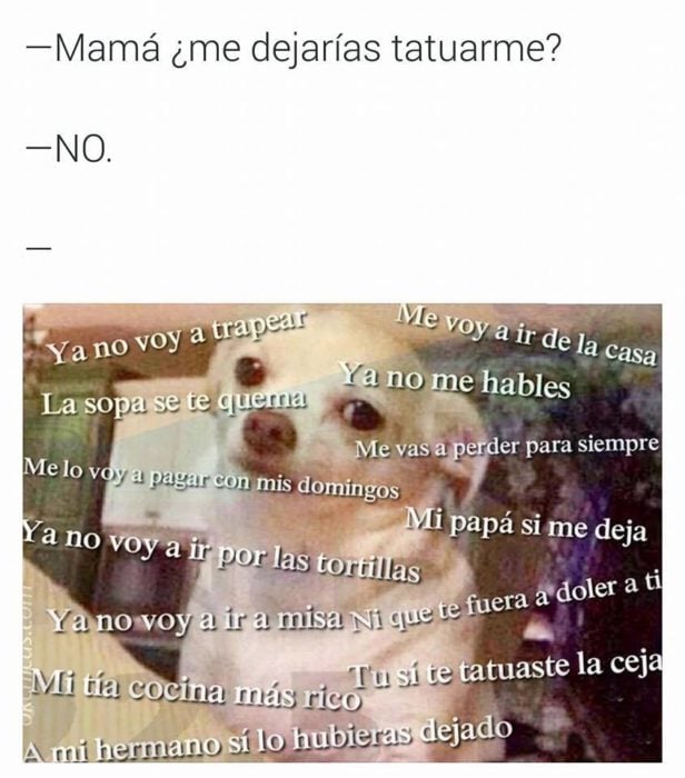 Perrito enojado meme