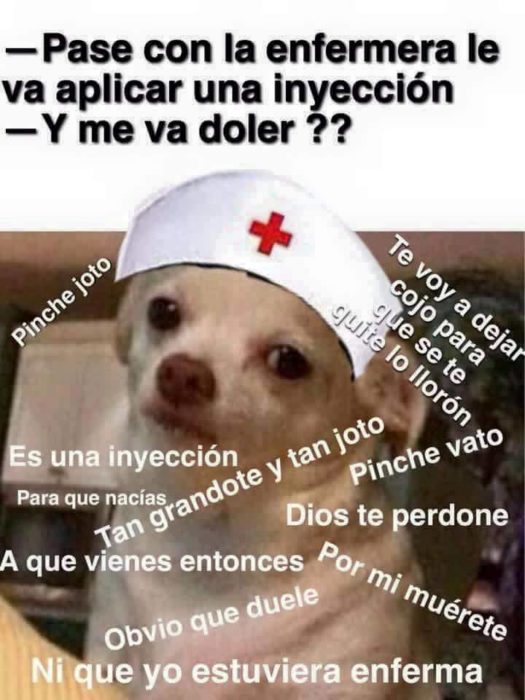 Perrito enojado meme