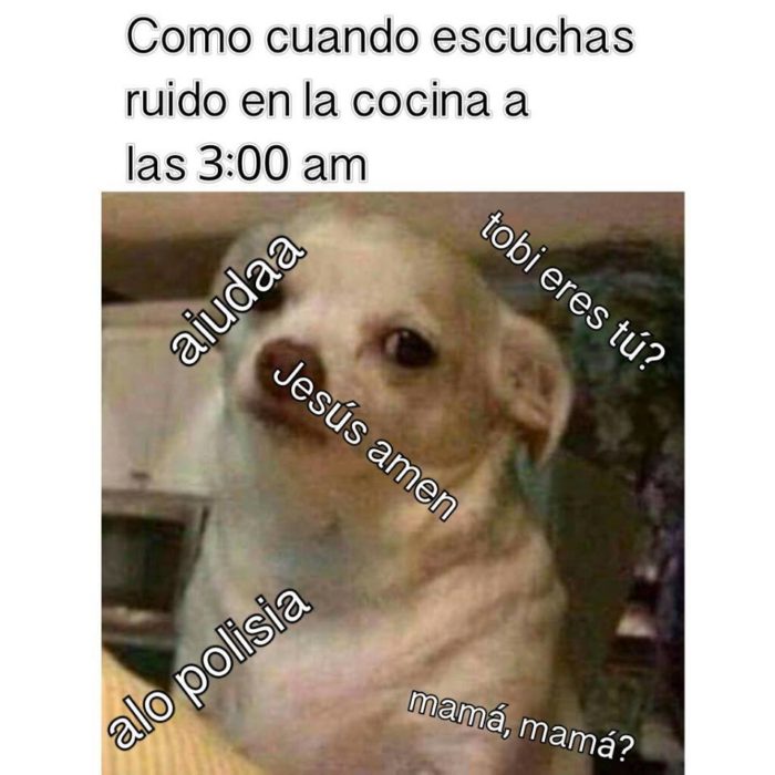 Perrito enojado meme