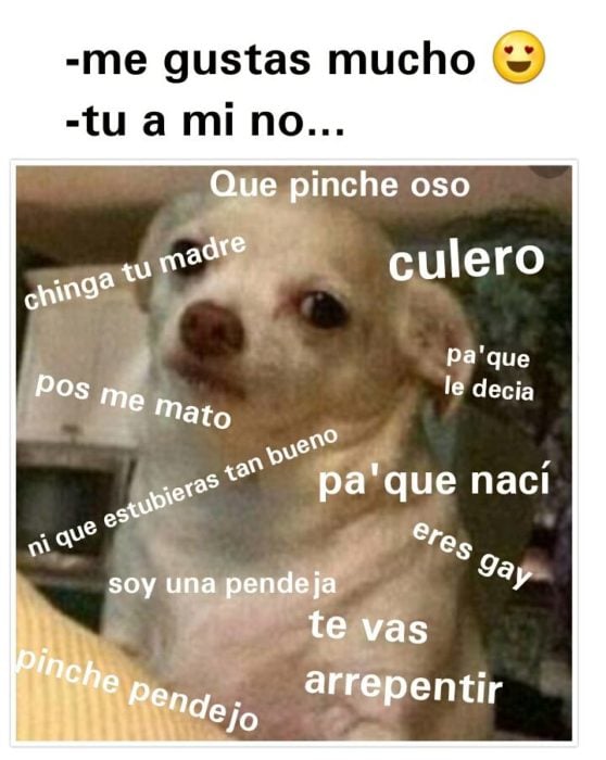 Perrito enojado meme