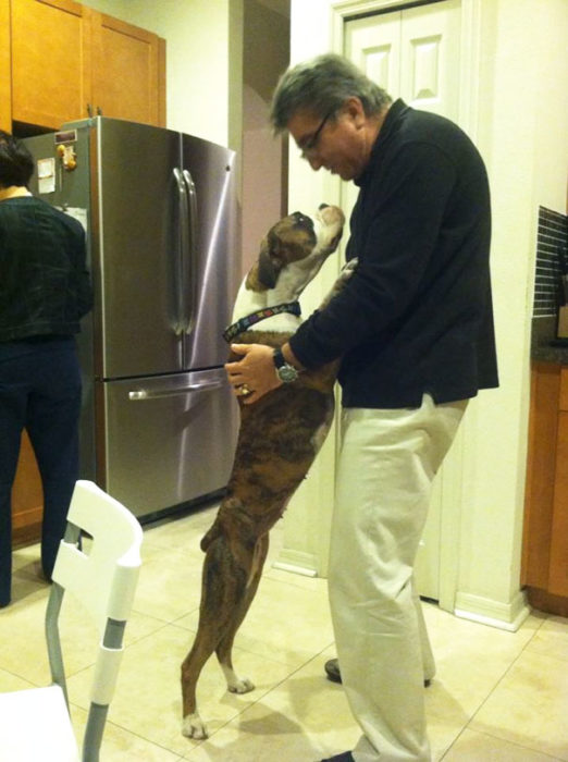 perro y papa juntos