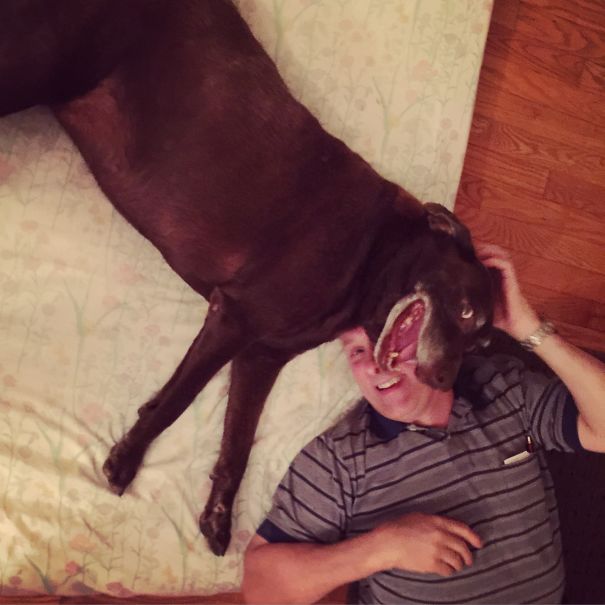 papá jugando con el perro