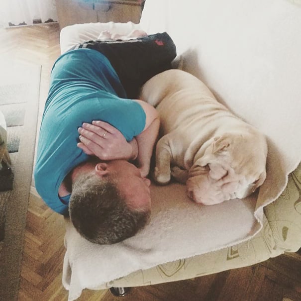 papa durmiendo en el sofa con el perro