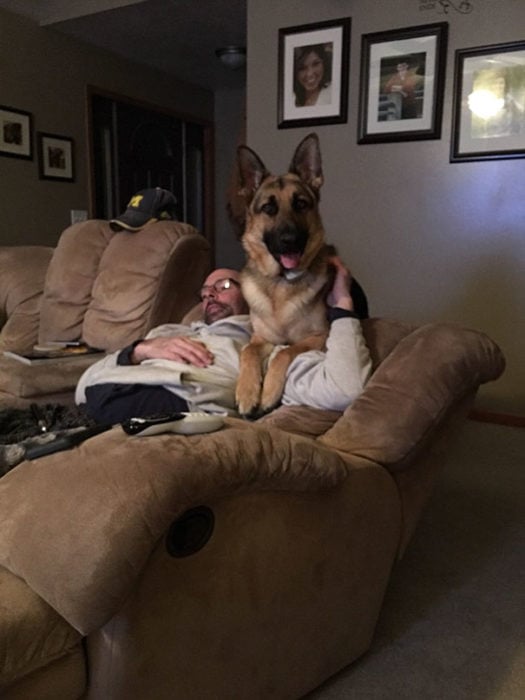 perro en el sillon con papa