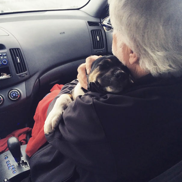 papa en el carro abrazando al perro