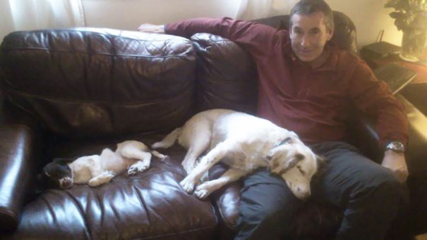 papa en el sillon junto con los dos perros