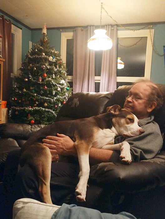 papa acostado en el sofá con el perro encima