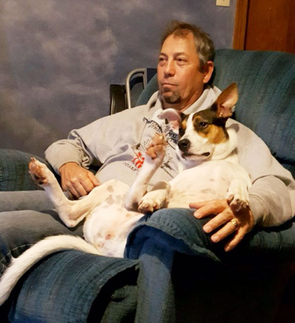 perro y papa viendo teles juntos