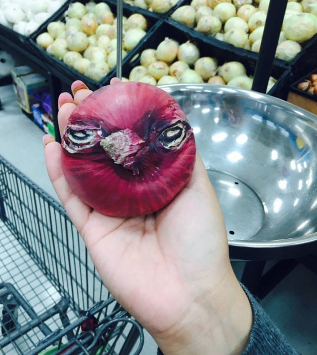 Vegetales formas curiosas - cebolla angry birds