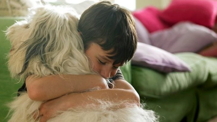 abrazo de perro